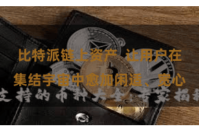 比特派链上资产  让用户在集结宇宙中愈加闲适、宽心